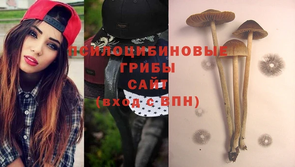 эйфоретик Балахна
